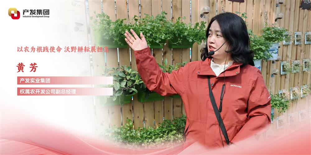 巾幗綻芳華 | 產(chǎn)發(fā)實(shí)業(yè)集團(tuán)權(quán)屬農(nóng)開(kāi)發(fā)公司 黃芳：以農(nóng)為根踐使命，沃野耕耘展擔(dān)當(dāng)